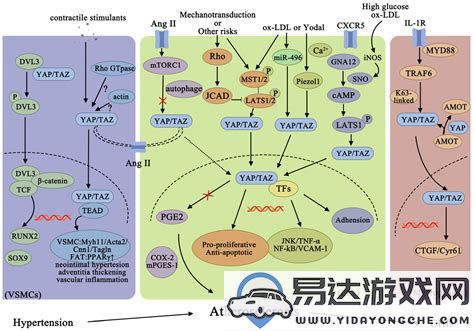 如何将pdz格式文件转换为其他常见格式的详细步骤和方法