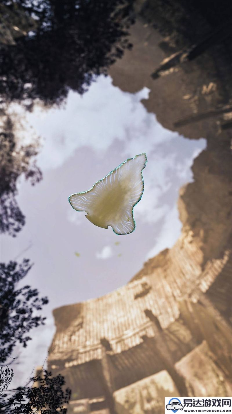 怪物猎人荒野中的奇异生物与环境详细图鉴介绍