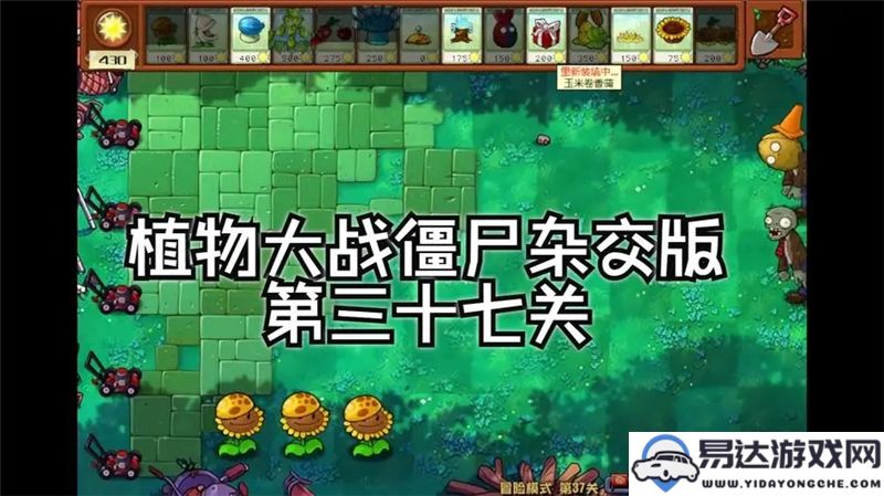 植物大战僵尸杂交版第37关攻略分享与通关技巧大全